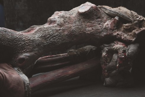 °Berlinde-De-Bruyckere_Kreupelhout-Cripplewood-2012-2013©MirjamDevriendt6