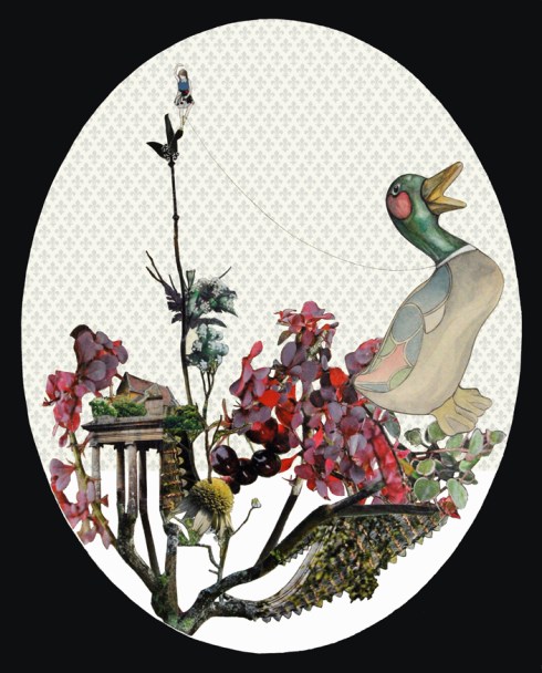 Alice Colombo, Addomesticare