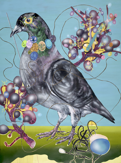 Mending Cooing Clusters