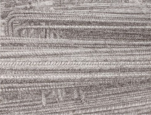 Senza titolo, 2005 Carboncino su carta, 60 x 80 cm