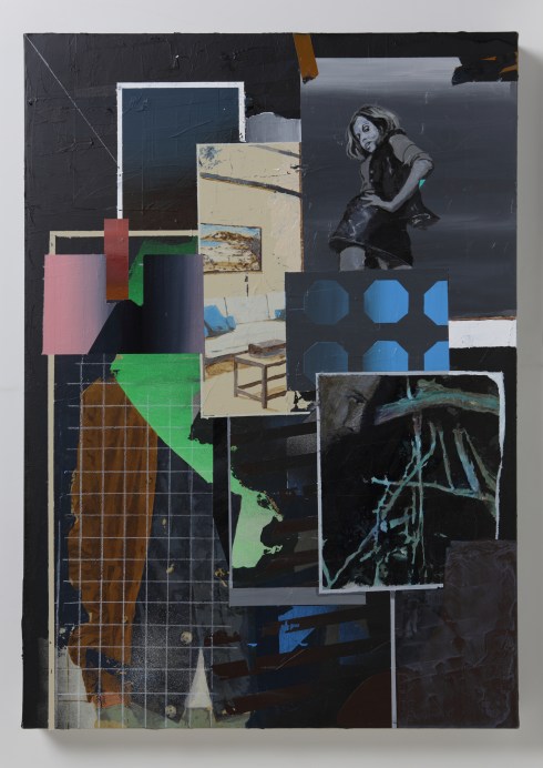 Paolo De Biasi, Sample, acrylic on canvas, 70x50 cm, 2014