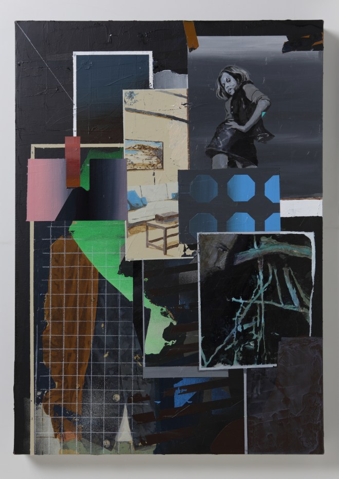 Paolo De Biasi, Sample, acrylic on canvas, 70x50 cm, 2014