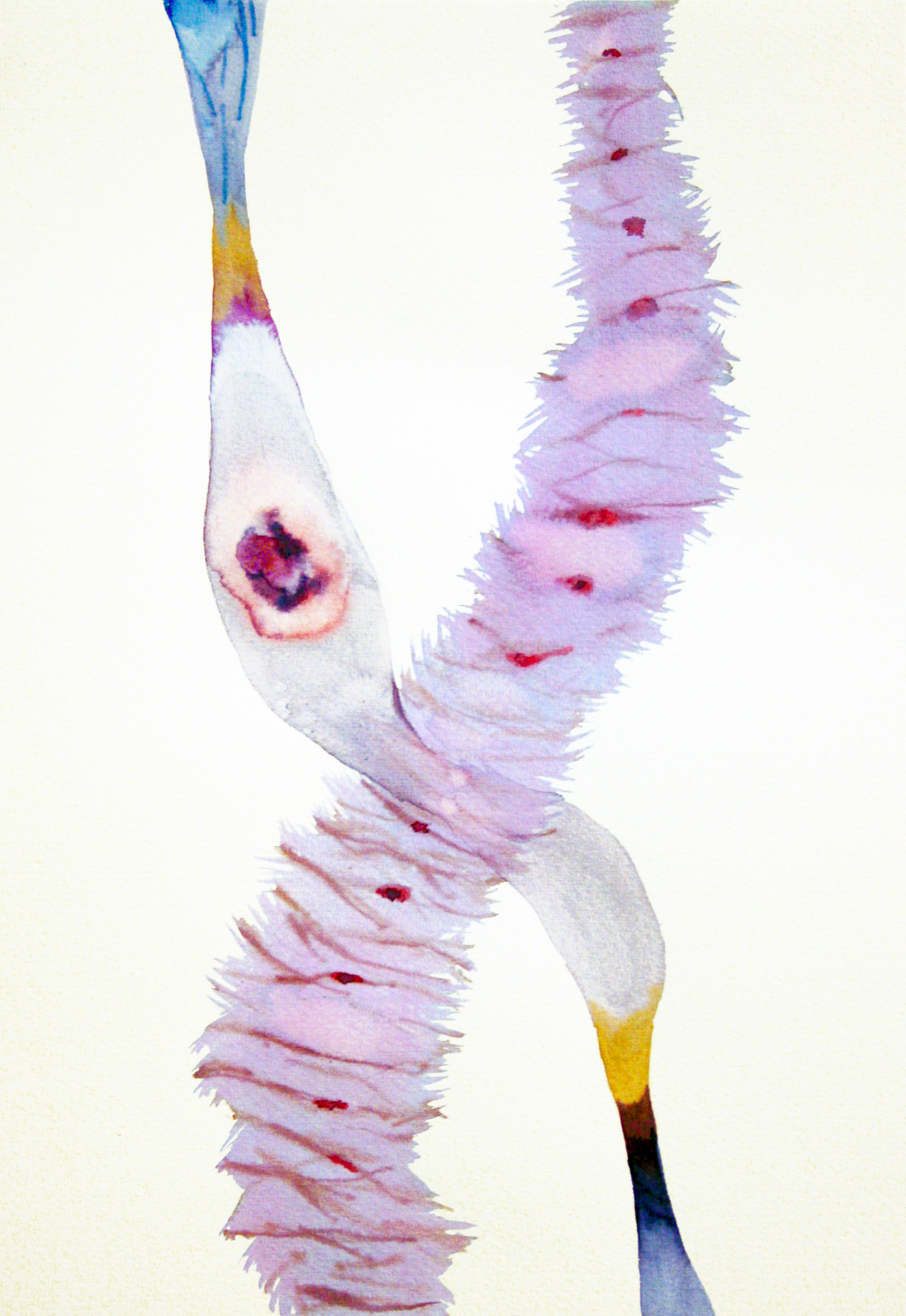 Innesti  #26 acquerelli su carta 35x25 cm_2015