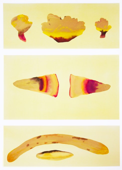 Sistema Innaturale #5, acquerello su carta, 70x50 cm, 2015