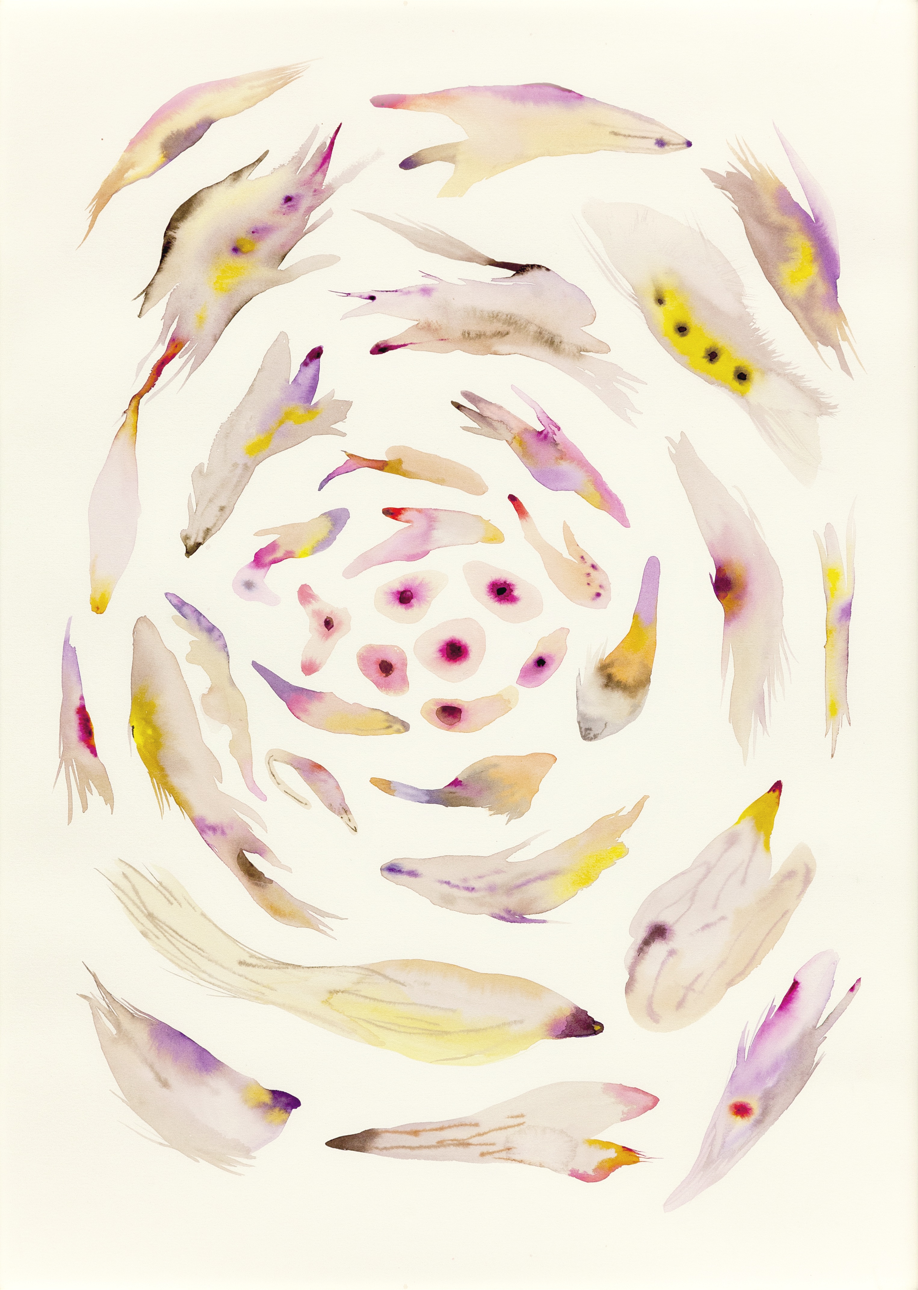 15Isabella Nazzarri, Sistema Innaturale - Genesi, 2016, 70x50cm, acquarello su carta web1