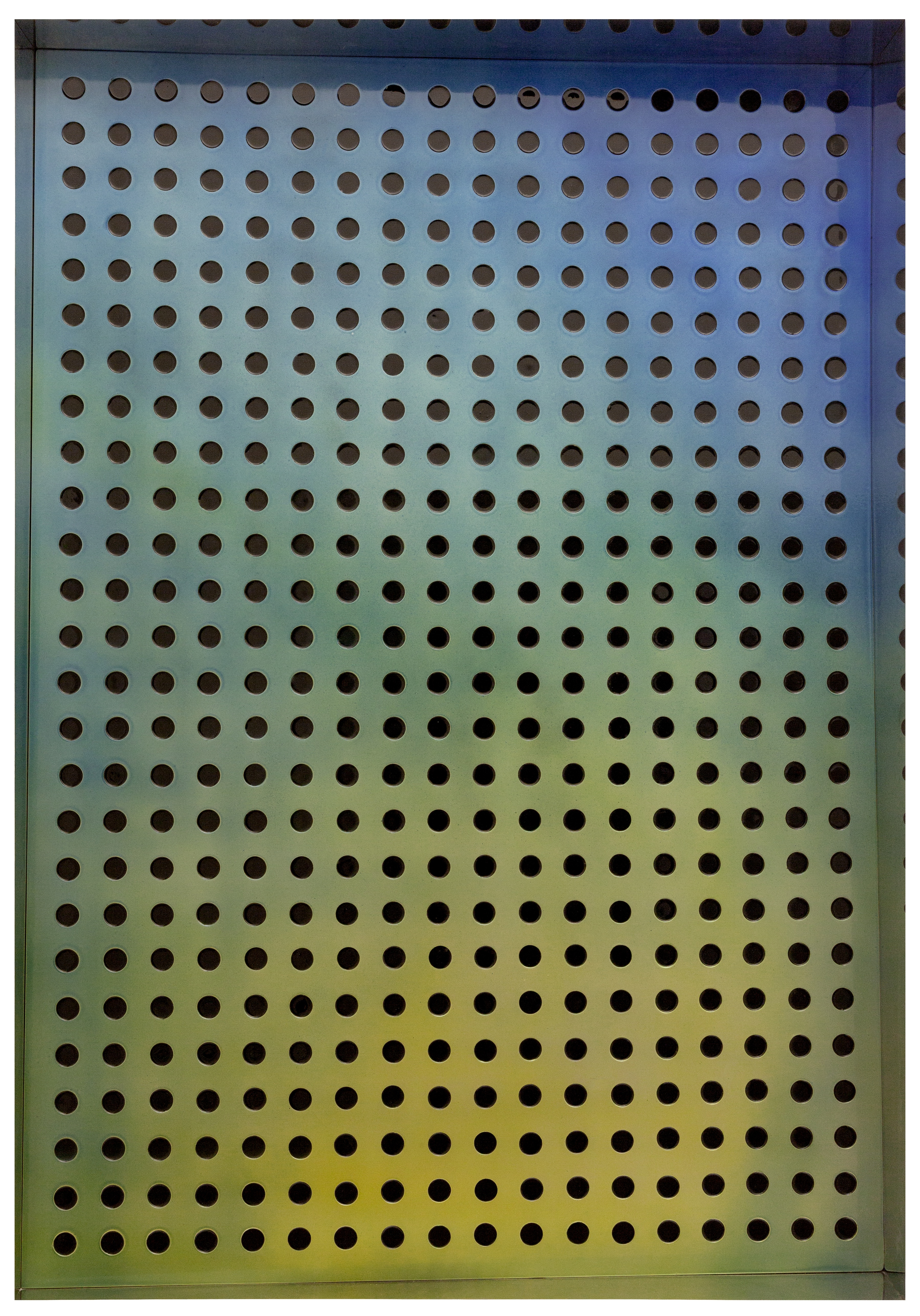 17Matteo Negri L'oro di genova