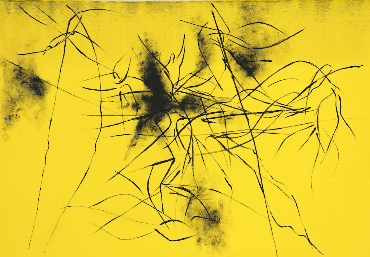 unaltra-natura-acrilico-su-tela-112x162-2013