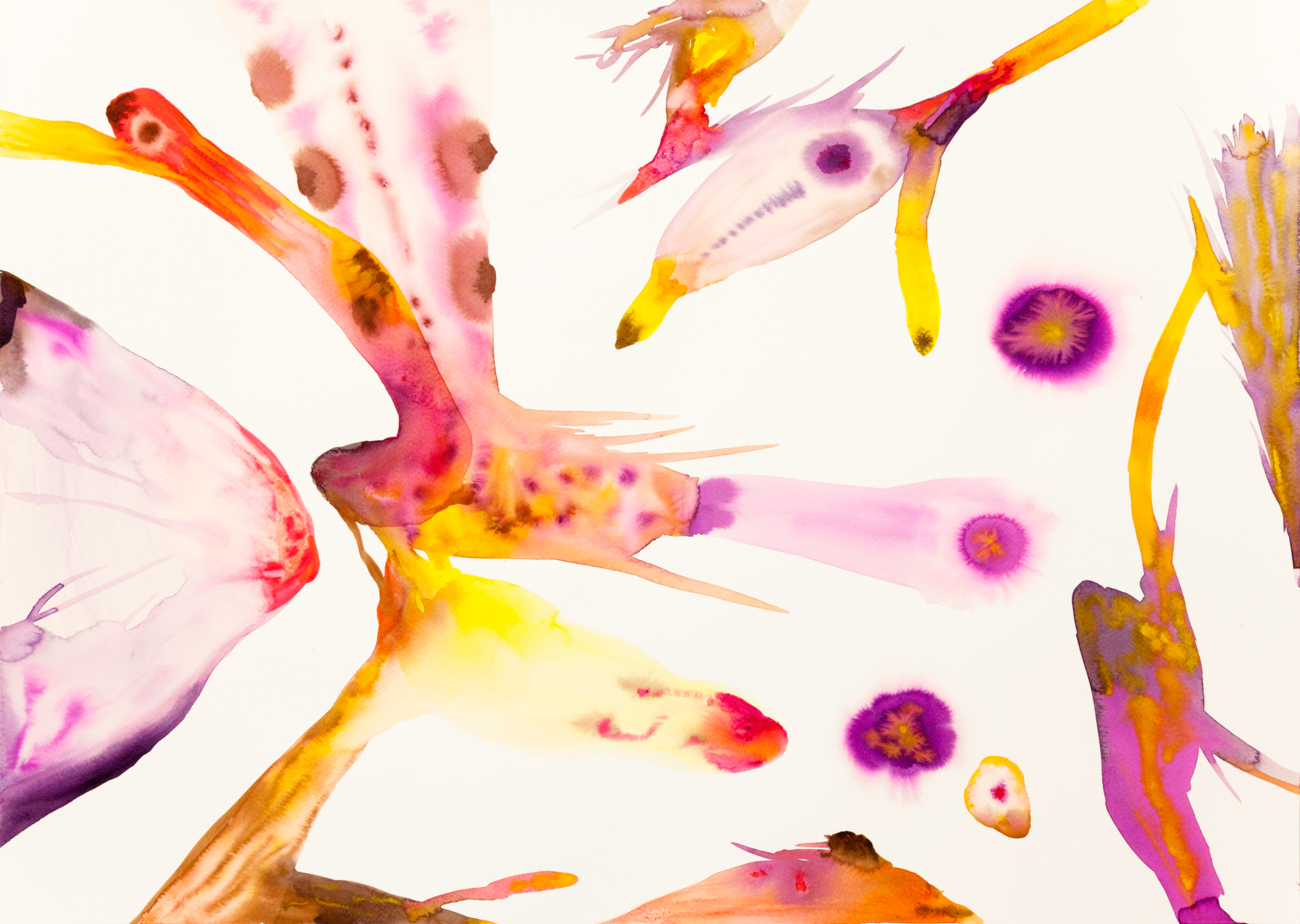 isabella-nazzarri-innesti-66-2016-50x70cm-watercolor-on-paper