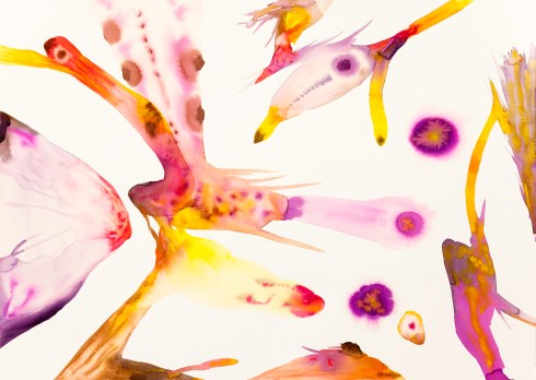 isabella-nazzarri-innesti-66-2016-50x70cm-watercolor-on-paper